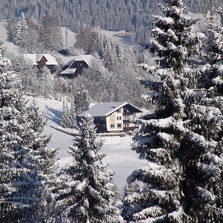 Cozy Apartment In Afritz Am See Near Gerlitzen Ski Area מראה חיצוני תמונה